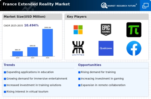 France Extended Reality Market Infographic