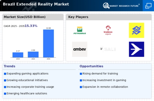 Brazil Extended Reality Market Infographic