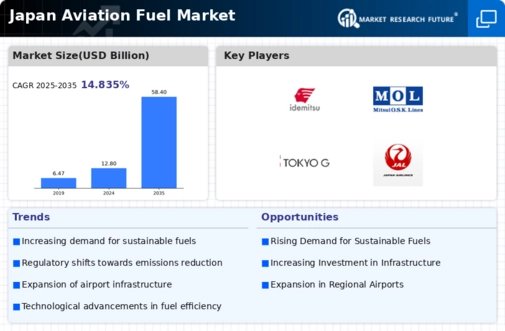 Japan Aviation Fuel Market Infographic