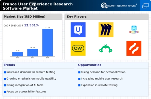 France User Experience Research Software Market Infographic