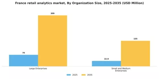France Retail Analytics Market Segment Image 1
