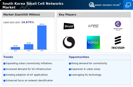 South Korea Small Cell Networks Market Infographic