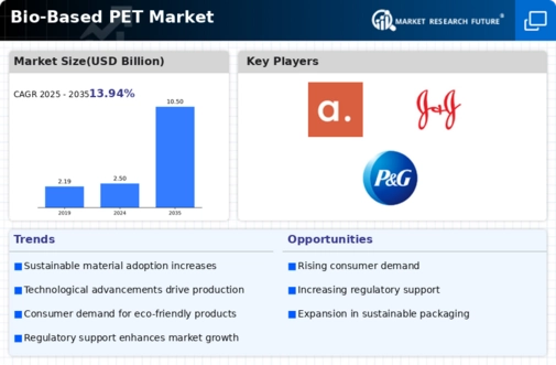 Bio-Based PET Market Infographic
