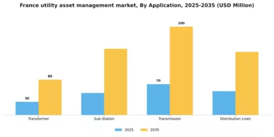 France Utility Asset Management Market Segment Image 0