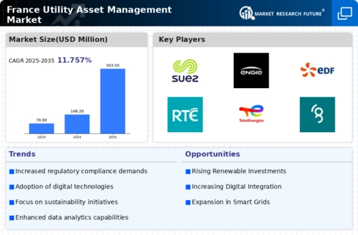France Utility Asset Management Market Infographic