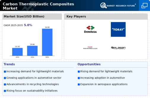 Carbon Thermoplastic Composites Market Infographic