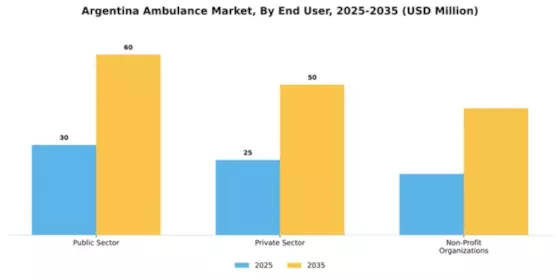 Argentina Ambulance Market Segment Image 2