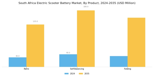 South Africa Electric Scooter Battery Market Segment Image 1