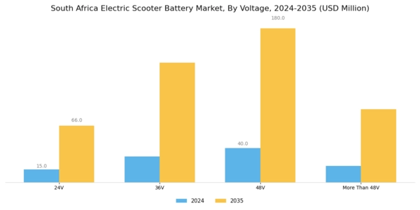 South Africa Electric Scooter Battery Market Segment Image 2
