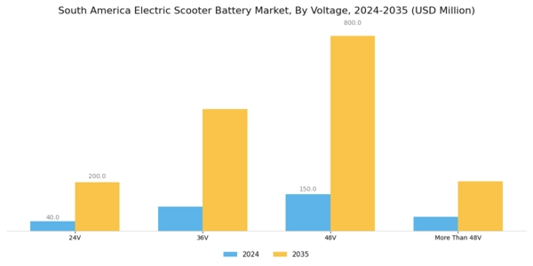 South America Electric Scooter Battery Market Segment Image 2