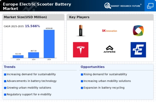 Europe Electric Scooter Battery Market Infographic