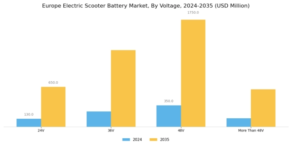 Europe Electric Scooter Battery Market Segment Image 2
