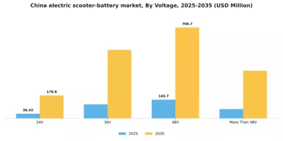 China Electric Scooter Battery Market Segment Image 2