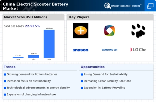 China Electric Scooter Battery Market Infographic
