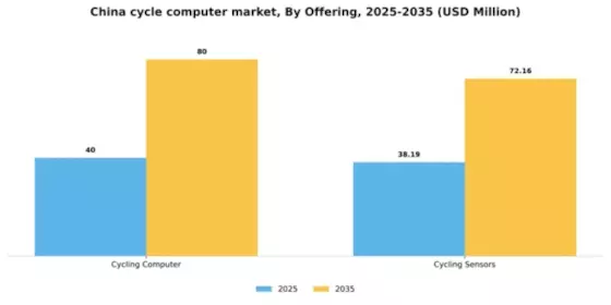 China Cycle Computer Market Segment Image 2