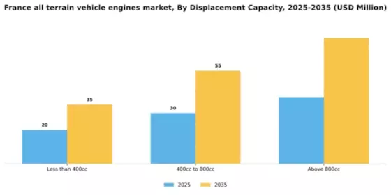 France All Terrain Vehicle Engines Market Segment Image 1