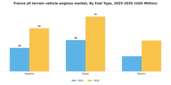 France All Terrain Vehicle Engines Market Segment Image 4