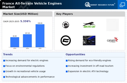 France All Terrain Vehicle Engines Market Infographic