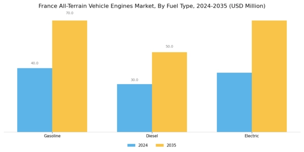 France All Terrain Vehicle Engines Market Segment Image 2