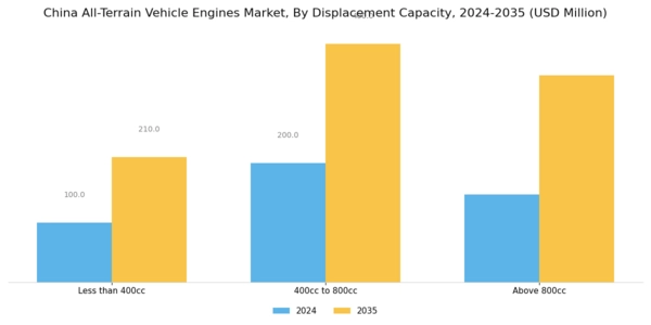 China All Terrain Vehicle Engines Market Segment Image 1