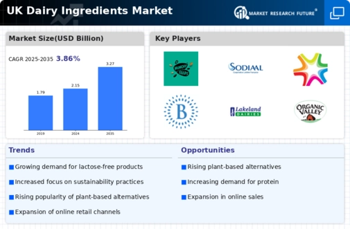 UK Dairy Ingredients Market Infographic