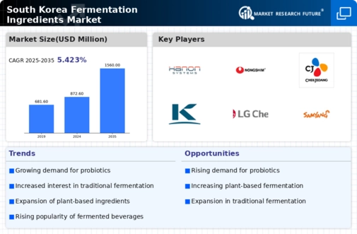 South Korea Fermentation Ingredients Market Infographic