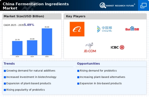 China Fermentation Ingredients Market Infographic