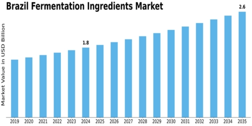 Brazil Fermentation Ingredients Market Size
