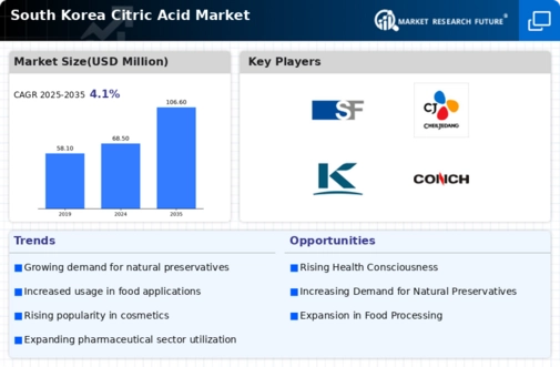 South Korea Citric Acid Market Infographic