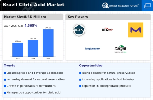 Brazil Citric Acid Market Infographic