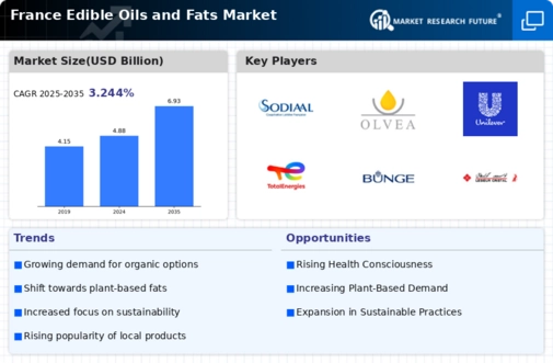 France Edible Oils Fats Market Infographic