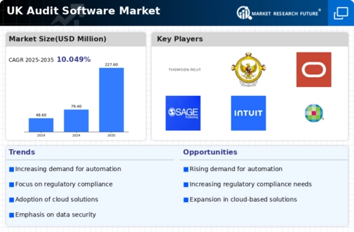 UK Audit Software Market Infographic