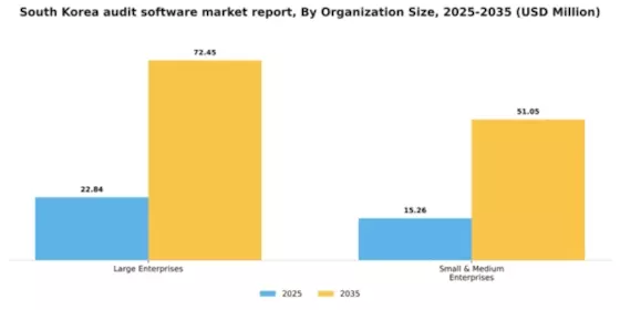 South Korea Audit Software Market Segment Image 2