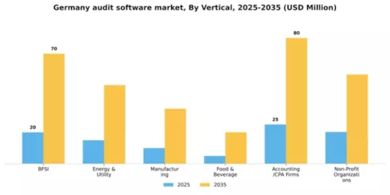 Germany Audit Software Market Segment Image 3