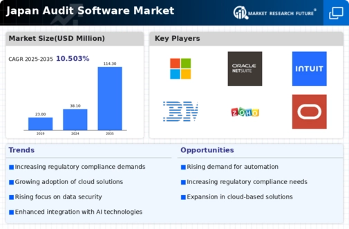Japan Audit Software Market Infographic