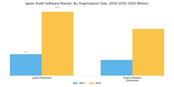 Japan Audit Software Market Segment Image 1
