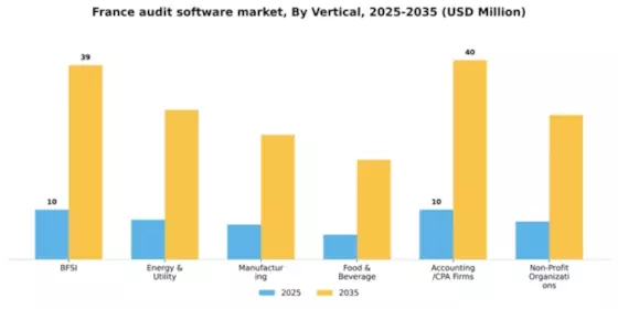 France Audit Software Market Segment Image 3