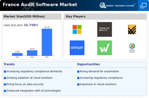 France Audit Software Market Infographic