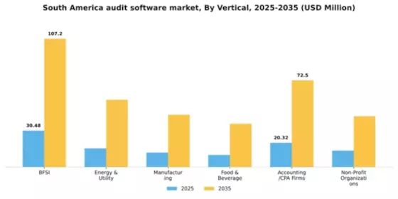South America Audit Software Market Segment Image 3
