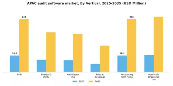 APAC Audit Software Market Segment Image 3