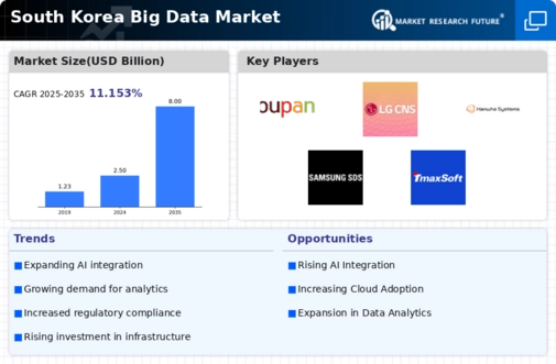 South Korea Big Data Market Infographic