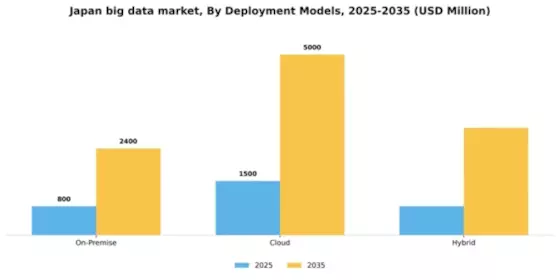 Japan Big Data Market Segment Image 1