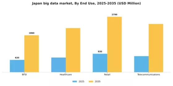 Japan Big Data Market Segment Image 2