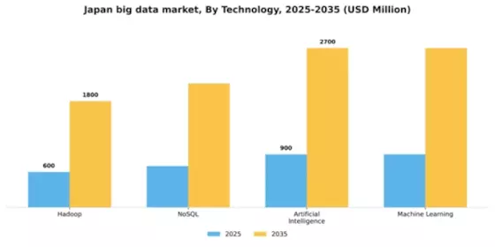 Japan Big Data Market Segment Image 3