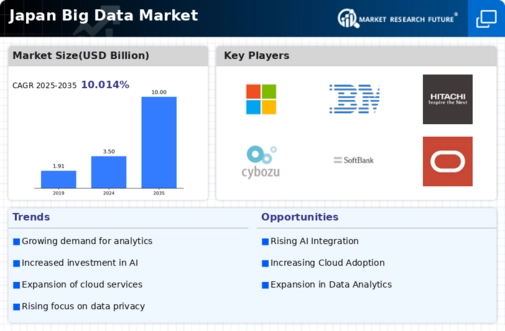 Japan Big Data Market Infographic