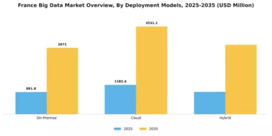 France Big Data Market Segment Image 1