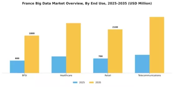 France Big Data Market Segment Image 2