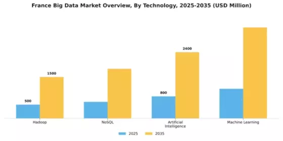 France Big Data Market Segment Image 3