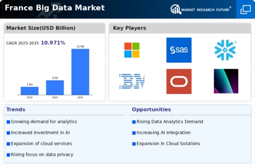 France Big Data Market Infographic