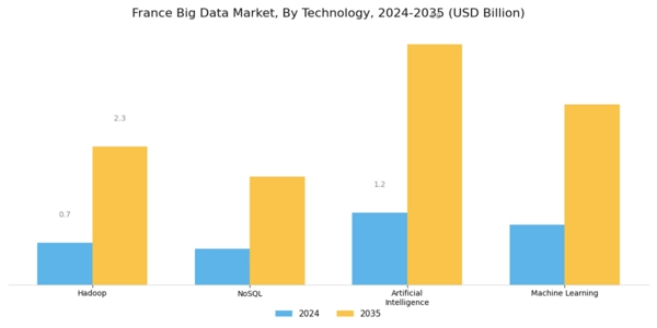 France Big Data Market Segment Image 2